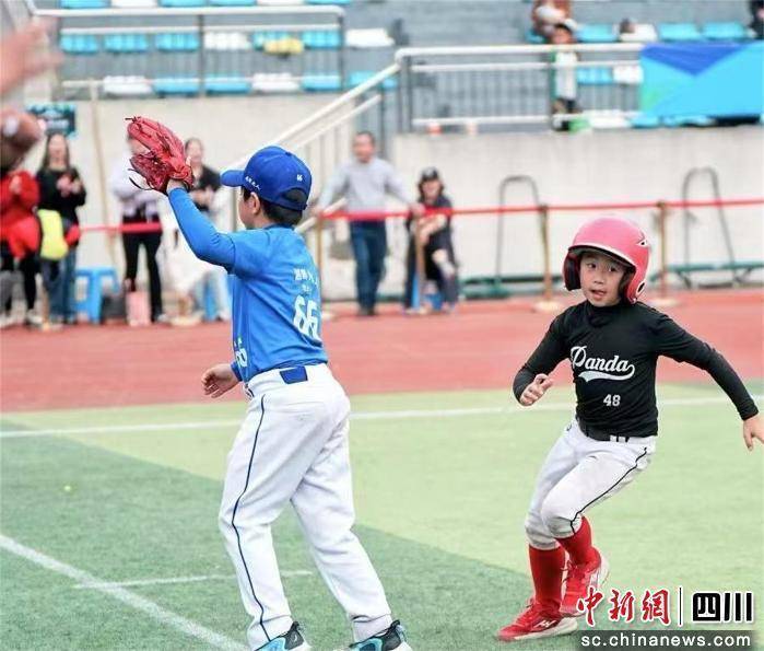 棒球少年挥棒启航 MLB CUP秋季公开赛成都站收官